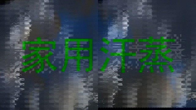 家用汗蒸