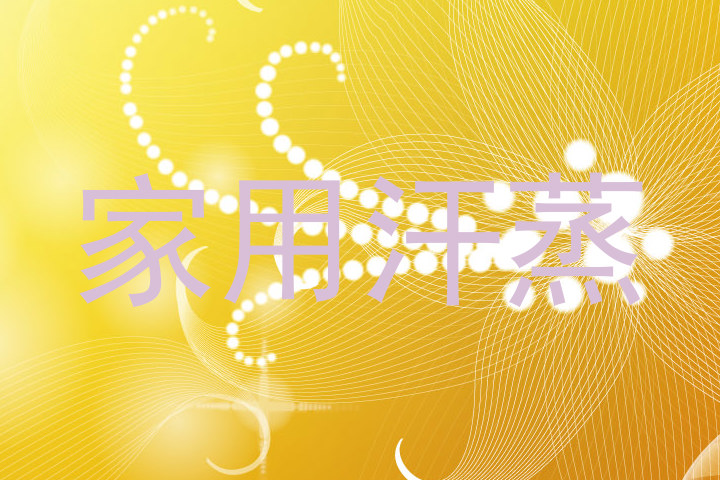家用汗蒸