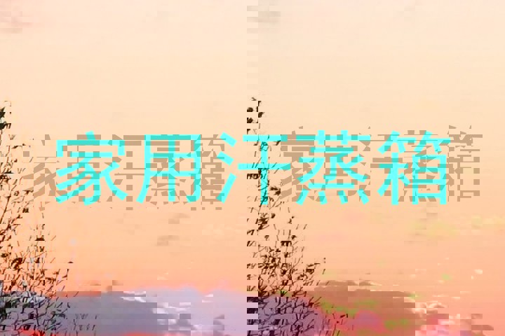 家用汗蒸箱