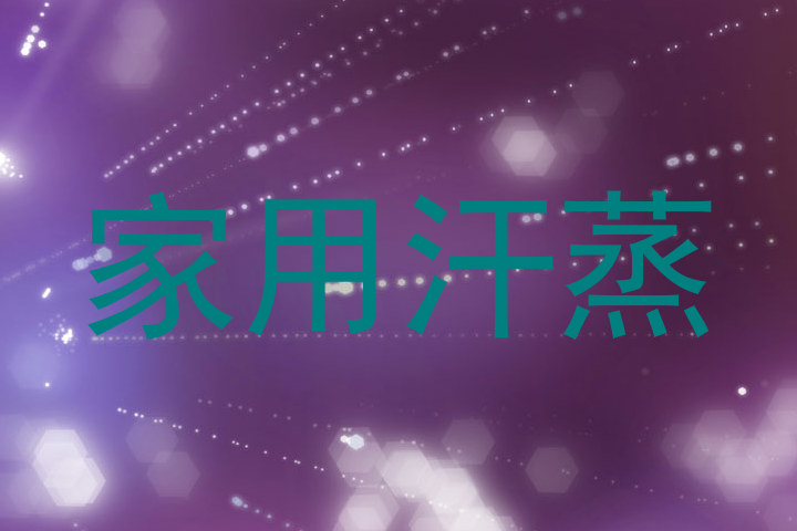 家用汗蒸