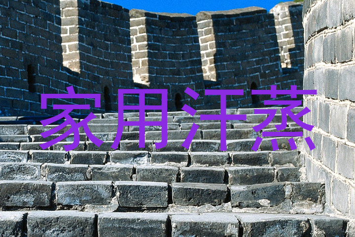 家用汗蒸