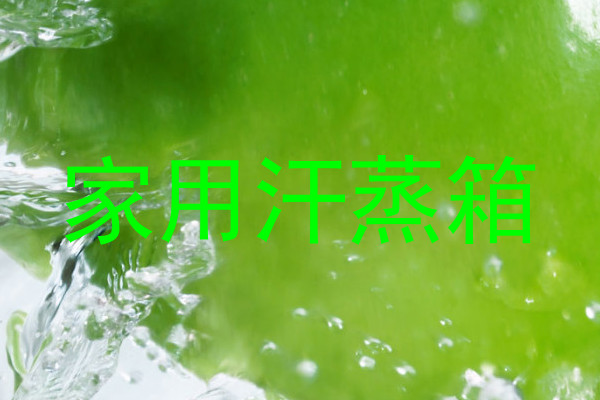 家用汗蒸箱