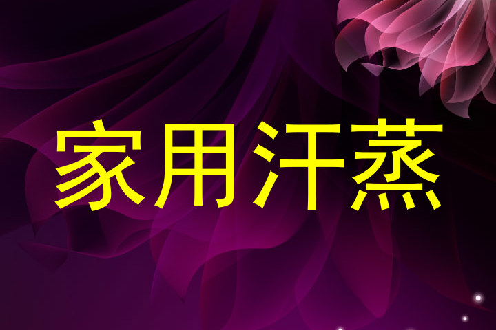 家用汗蒸