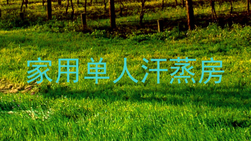 家用单人汗蒸房