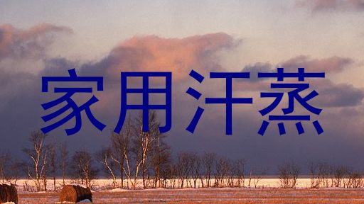 家用汗蒸