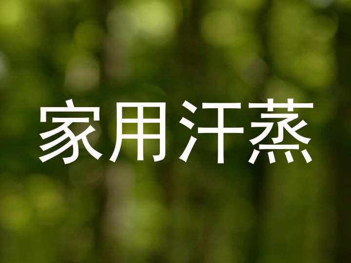 家用汗蒸