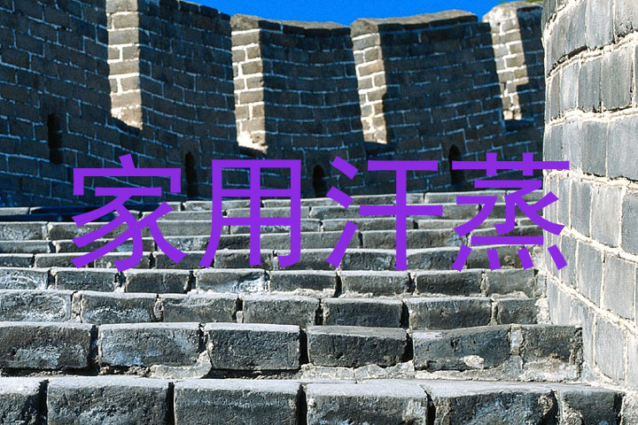 家用汗蒸