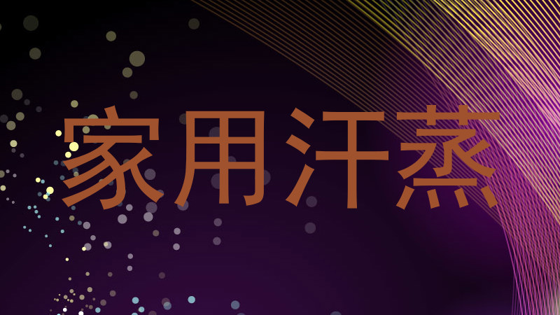 家用汗蒸