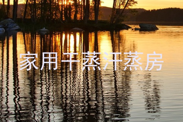 家用干蒸汗蒸房