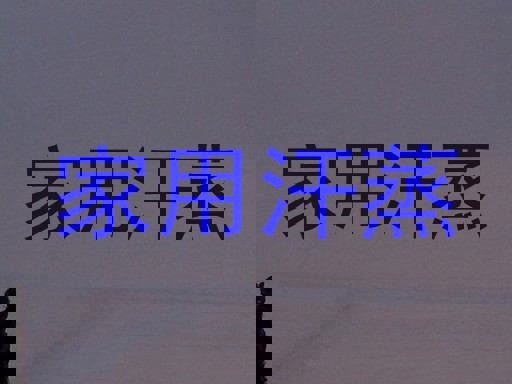 家用汗蒸