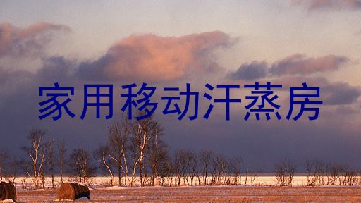 家用移动汗蒸房