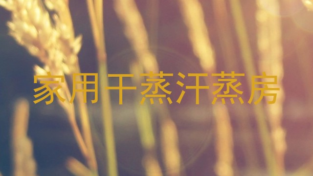 家用干蒸汗蒸房