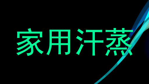 家用汗蒸