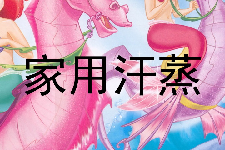 家用汗蒸