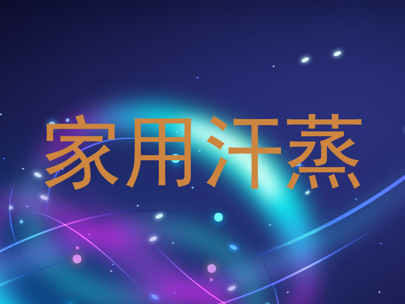 家用汗蒸