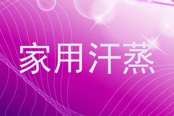 家用汗蒸