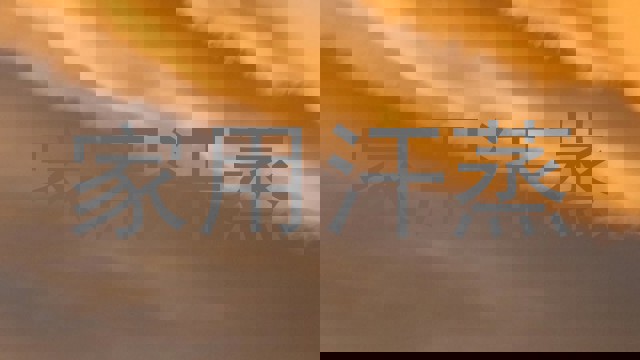 家用汗蒸
