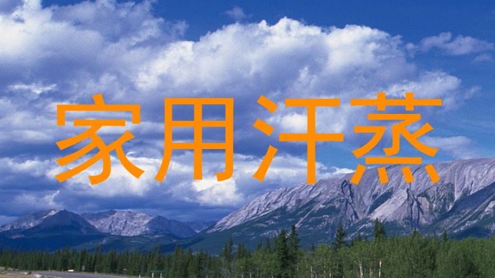 家用汗蒸