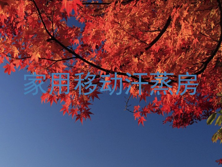 家用移动汗蒸房