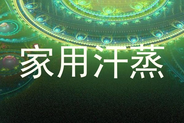 家用汗蒸