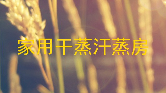 家用干蒸汗蒸房