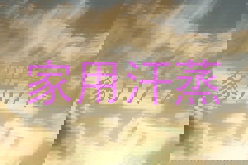 家用汗蒸