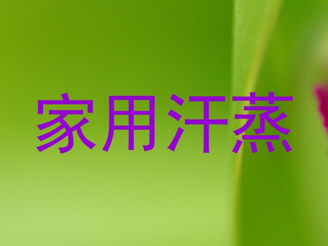 家用汗蒸