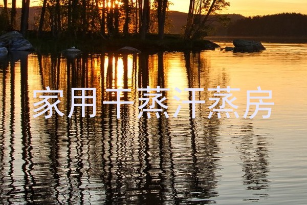 家用干蒸汗蒸房