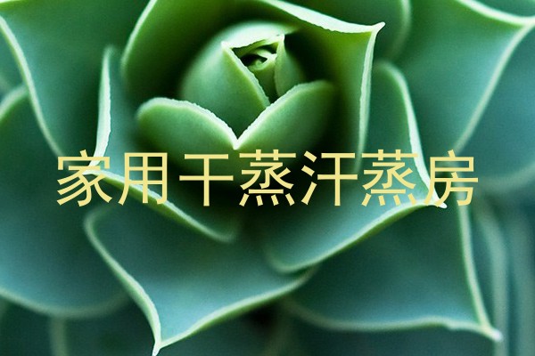 家用干蒸汗蒸房