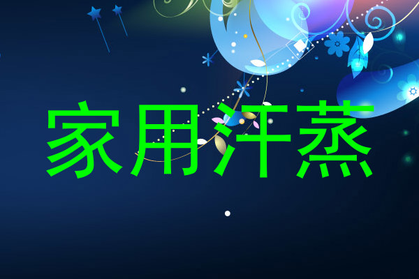 家用汗蒸