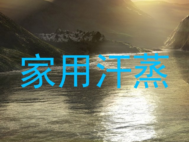 家用汗蒸