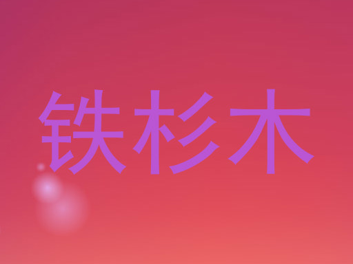 铁杉木