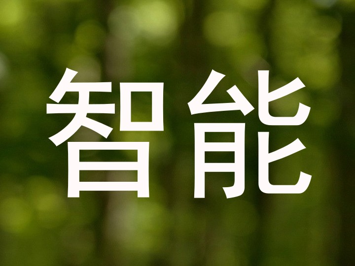 智能