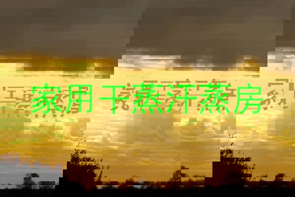 家用干蒸汗蒸房