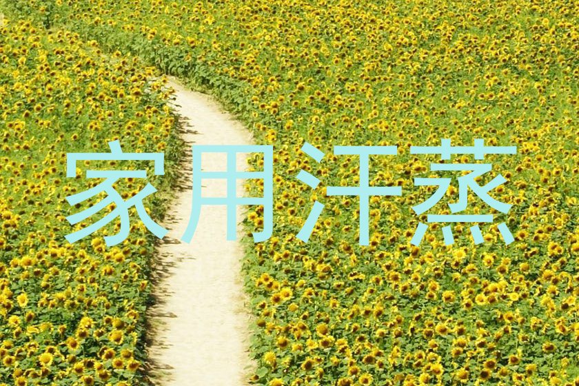 家用汗蒸