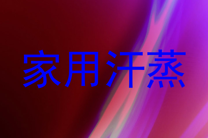家用汗蒸