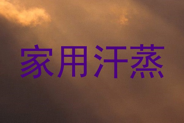 家用汗蒸