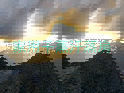 家用干蒸汗蒸房