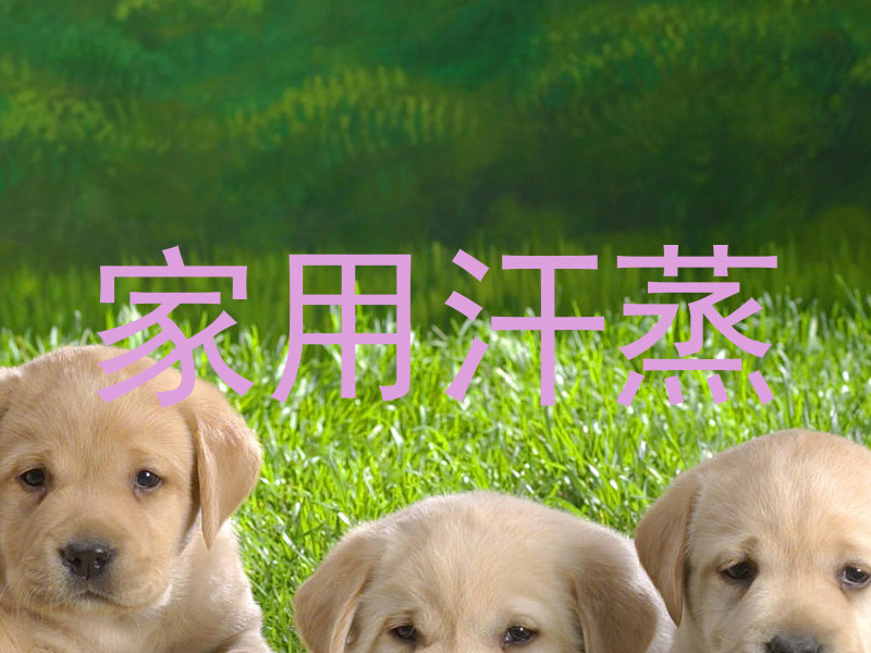 家用汗蒸