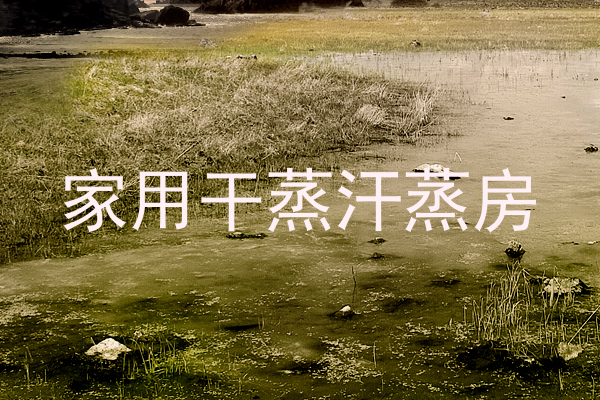 家用干蒸汗蒸房