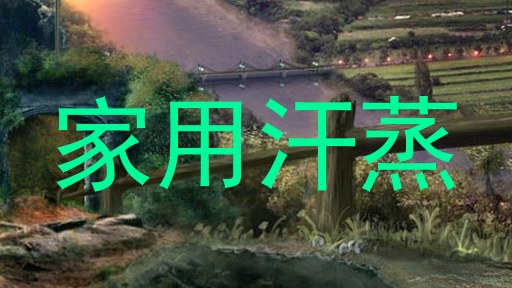 家用汗蒸