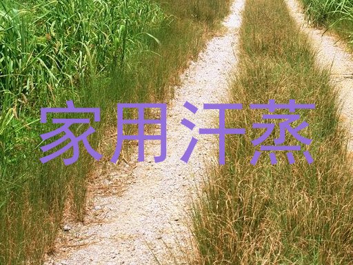 家用汗蒸