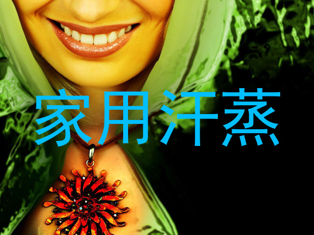 家用汗蒸