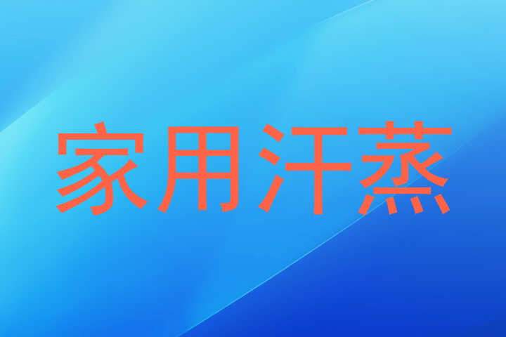 家用汗蒸