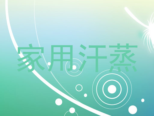 家用汗蒸