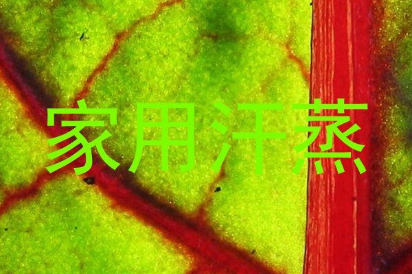 家用汗蒸