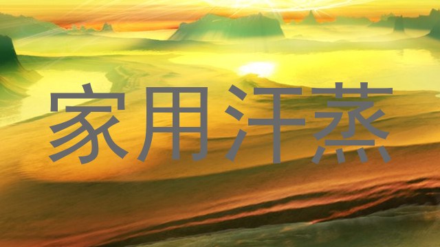家用汗蒸