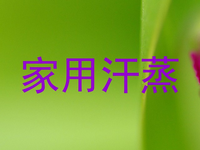 家用汗蒸