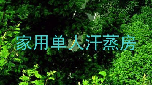 家用单人汗蒸房