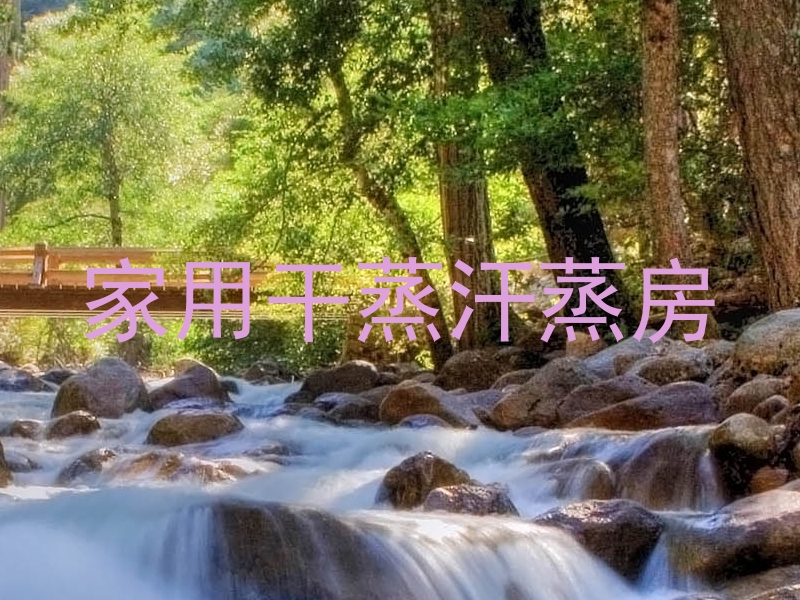 家用干蒸汗蒸房